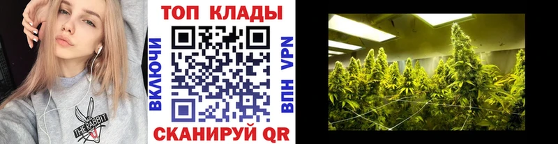 Где купить Осташков Alpha PVP  ГАШИШ  Канабис 