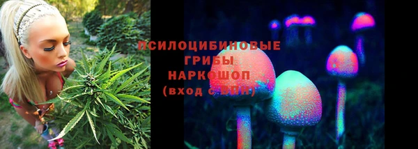 прущий лед Покровск