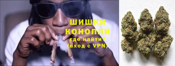 шишки Пересвет