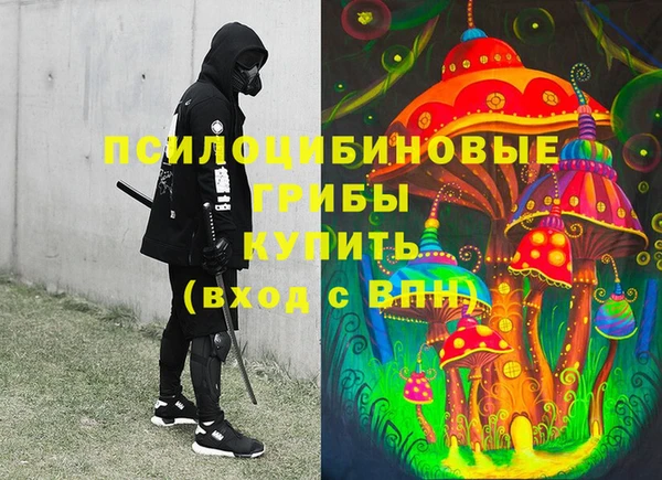 spice Покачи