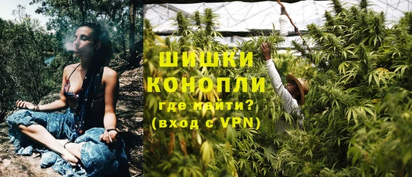 тгк Пестово