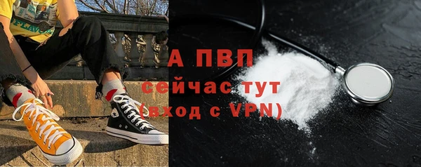 spice Покачи